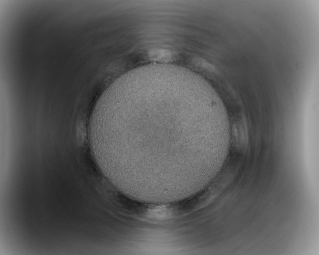 X0000088180705200705291952