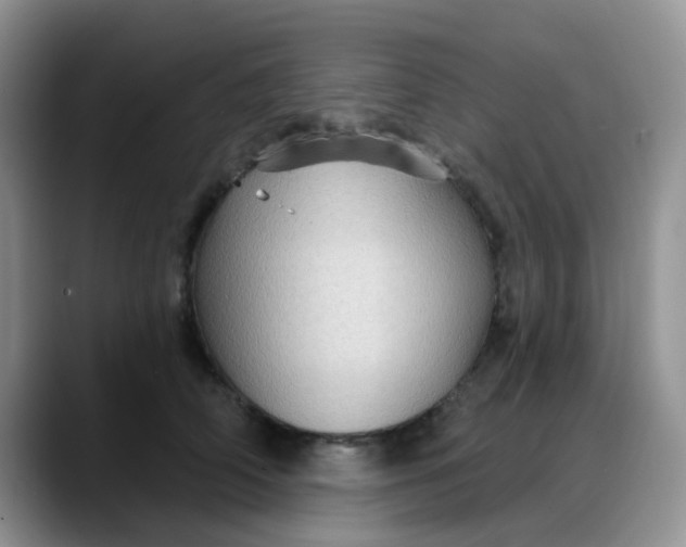 X0000088180706200705291952