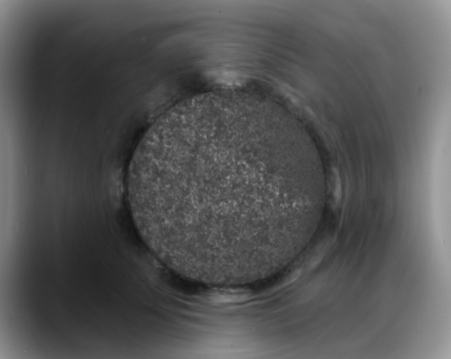 X0000088180707200705291952