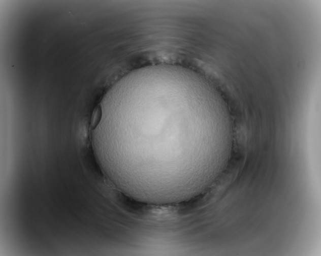 X0000088180709200705291952