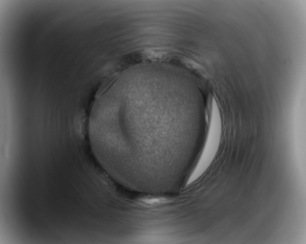 X0000088180712200705291952