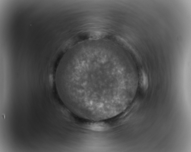 X0000088180716200705291952