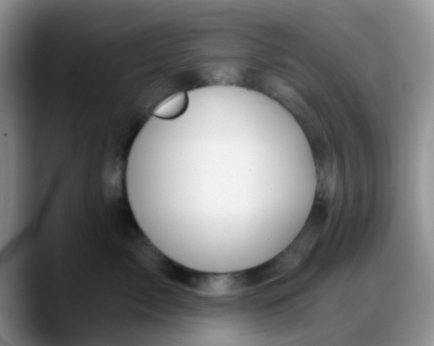 X0000088180717200705291952