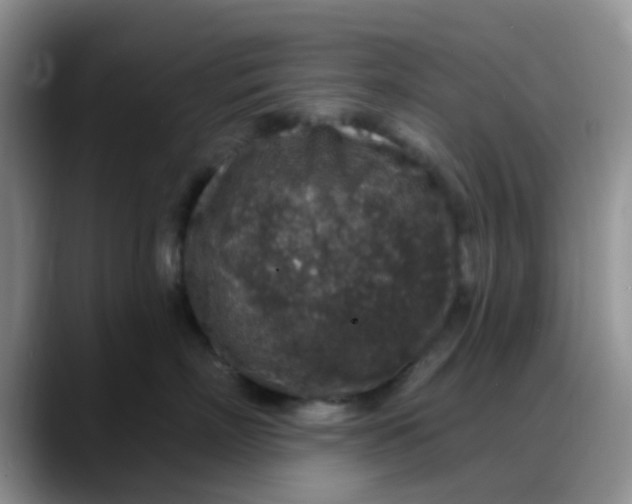 X0000088180718200705291952