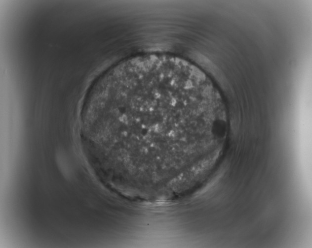 X0000088180721200705291951