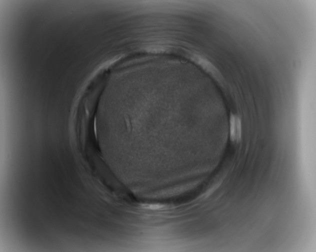 X0000088180723200705291951