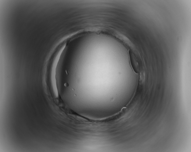 X0000088180724200705291951