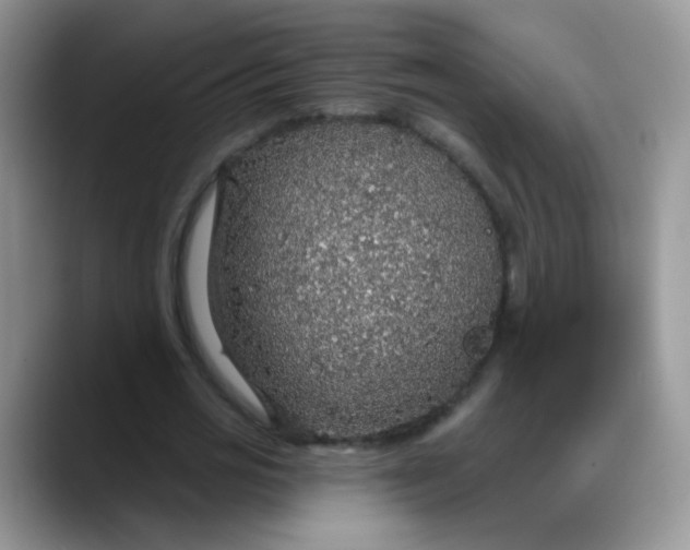 X0000088180725200705291951