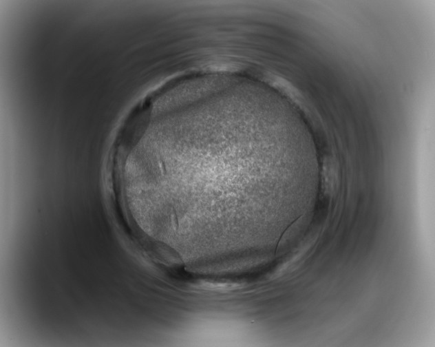 X0000088180726200705291951