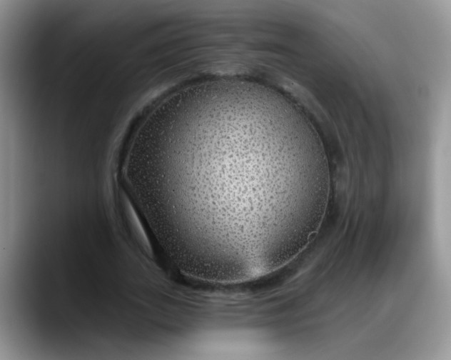 X0000088180727200705291951