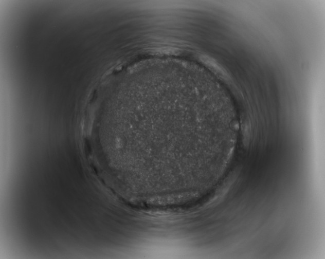 X0000088180729200705291951