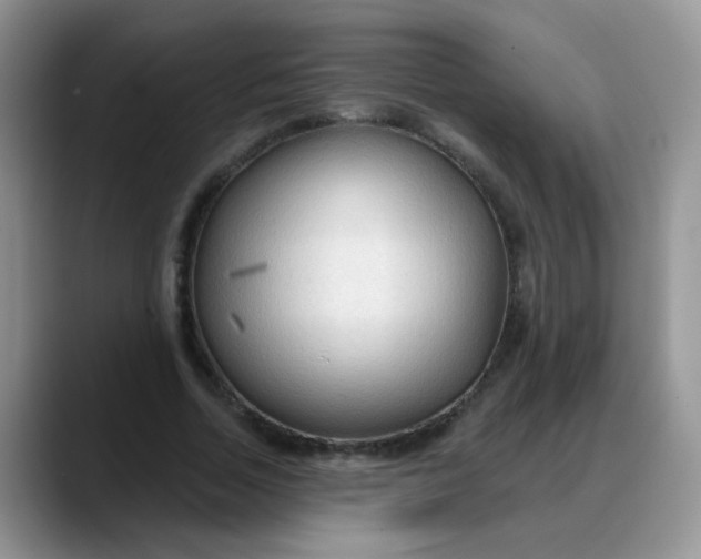 X0000088180730200705291951