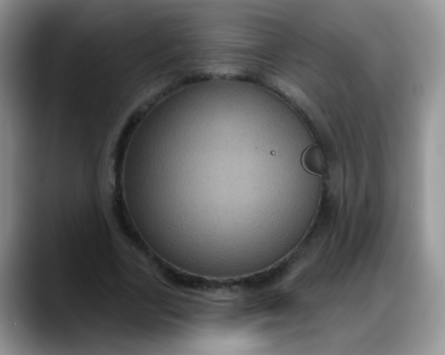 X0000088180731200705291951