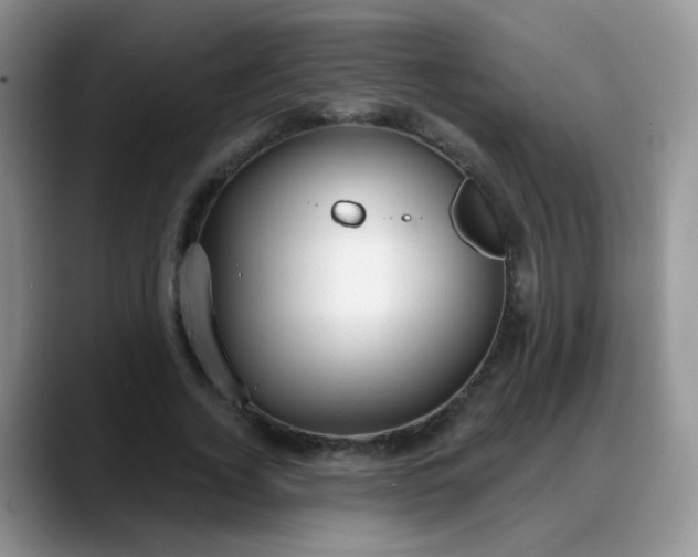 X0000088180732200705291951