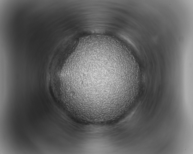 X0000088180733200705291951