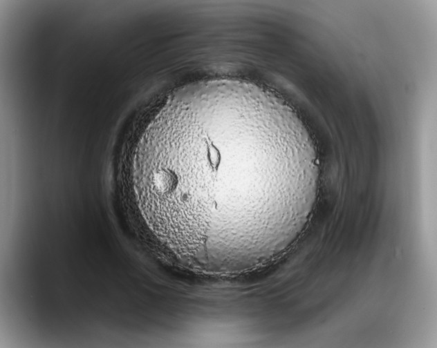 X0000088180734200705291951