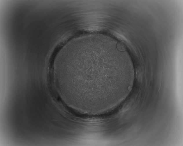 X0000088180735200705291951