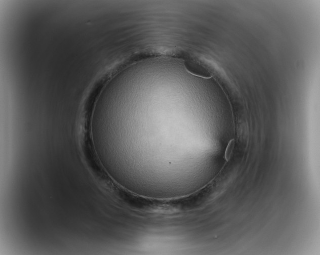 X0000088180736200705291951