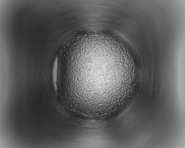 X0000088180737200705291951