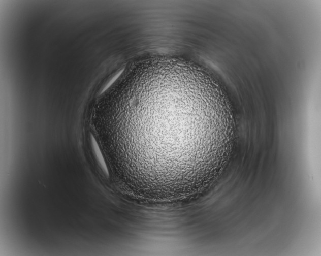 X0000088180738200705291951