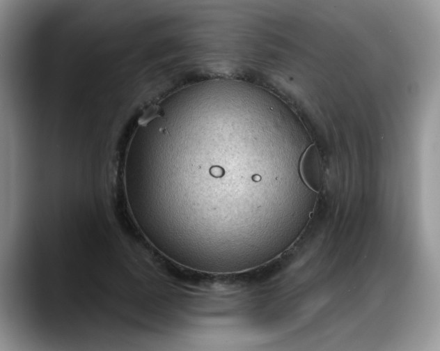 X0000088180739200705291951