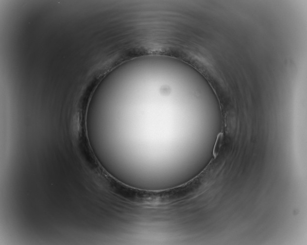 X0000088180740200705291951