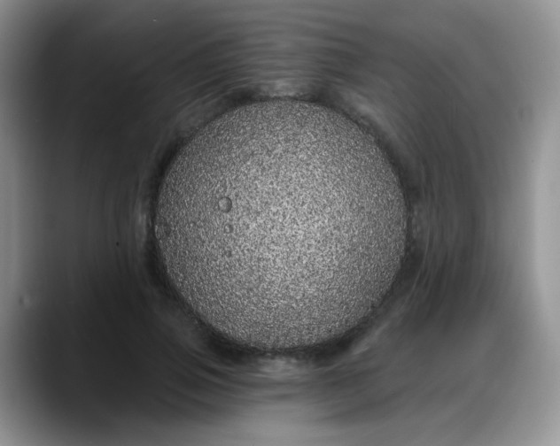 X0000088180741200705291951