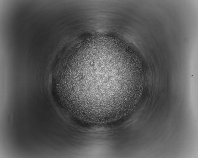 X0000088180742200705291951