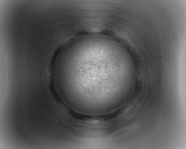 X0000088180743200705291951