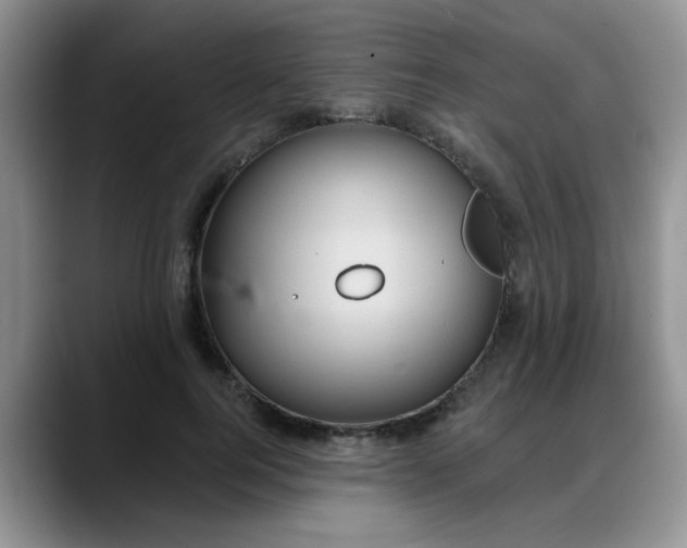 X0000088180744200705291951