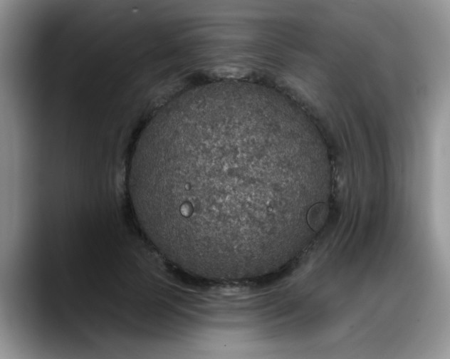 X0000088180745200705291951