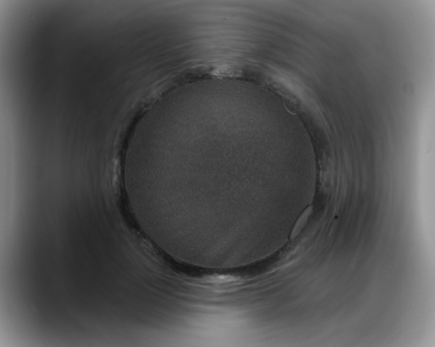 X0000088180748200705291952