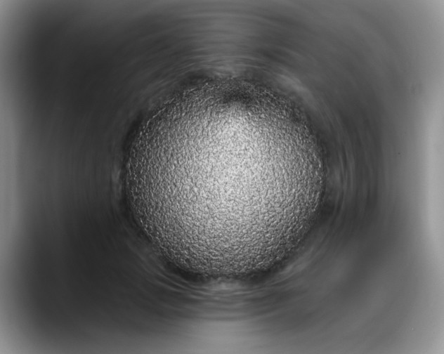 X0000088180749200705291952