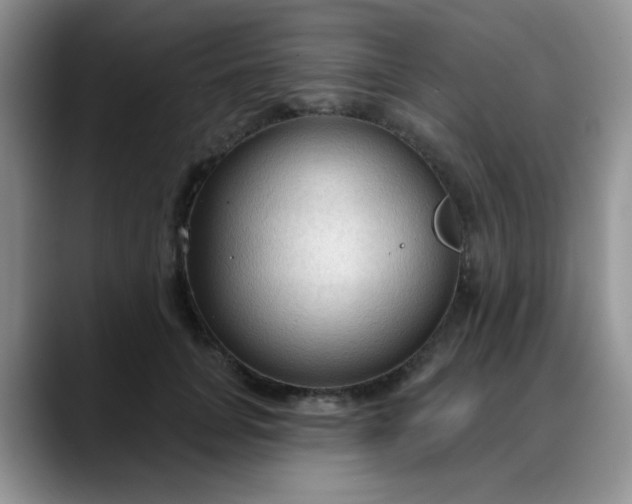 X0000088180751200705291952