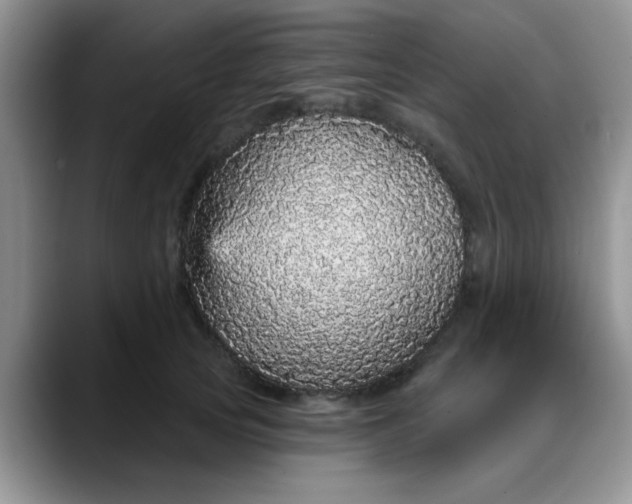 X0000088180753200705291952