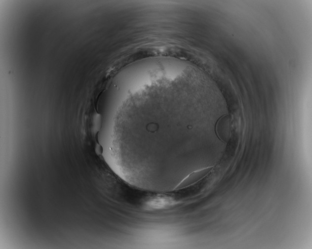 X0000088180754200705291952