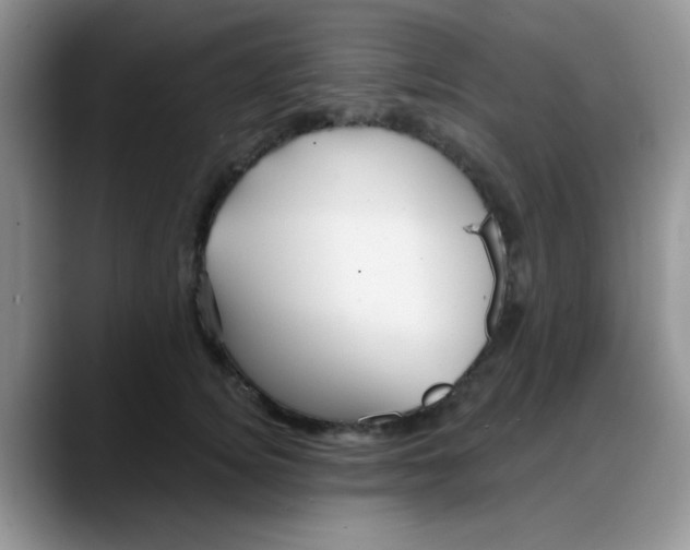 X0000088180756200705291952