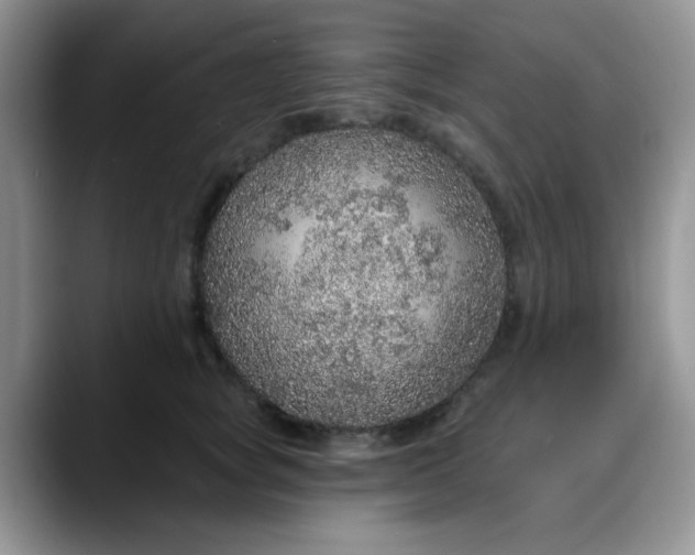 X0000088180757200705291952