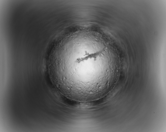 X0000088180758200705291952