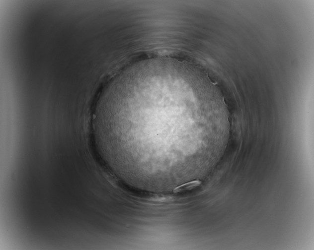 X0000088180760200705291952