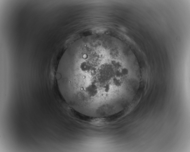 X0000088180761200705291952