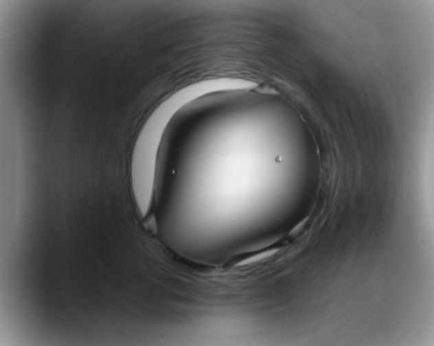 X0000088180762200705291952