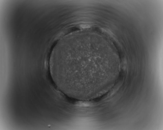 X0000088180763200705291952