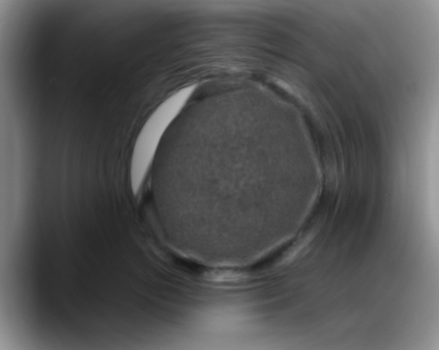 X0000088180766200705291952