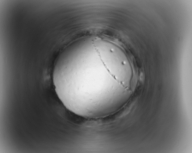 X0000088180771200705291951