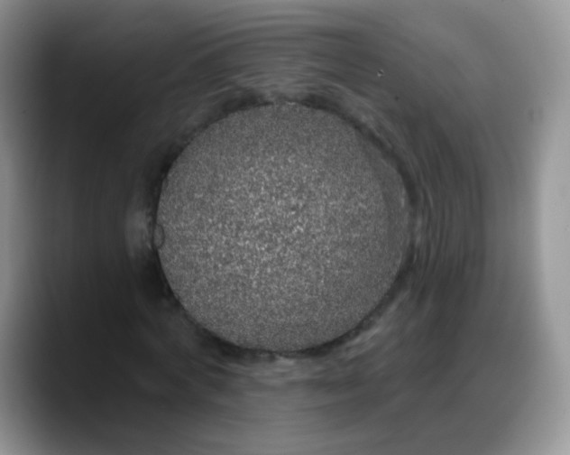 X0000088180772200705291951