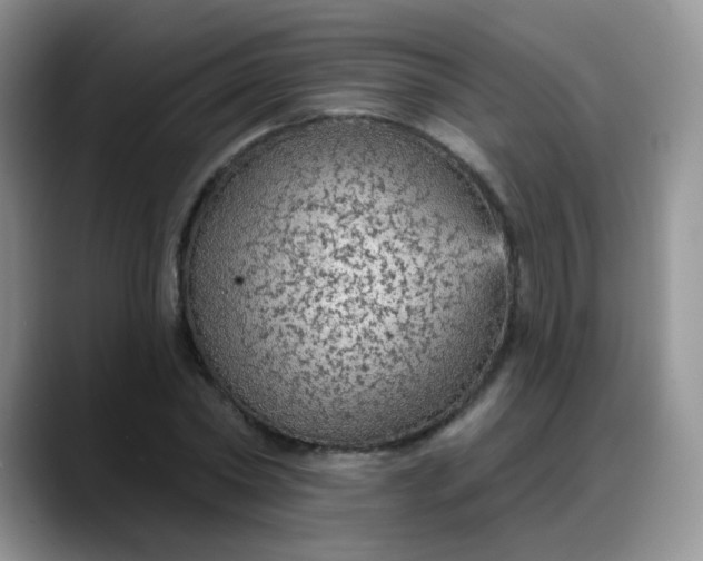 X0000088180782200705291951