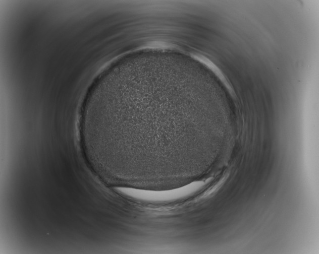 X0000088180783200705291951