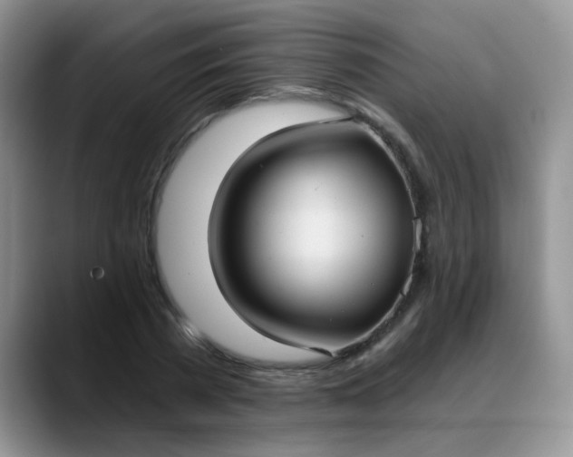 X0000088180785200705291951