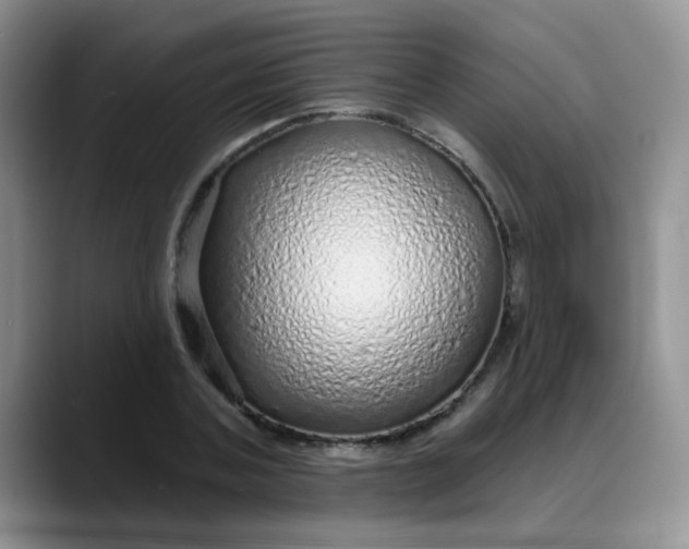 X0000088180787200705291951